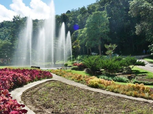 Queen Sirikit Botanic Garden