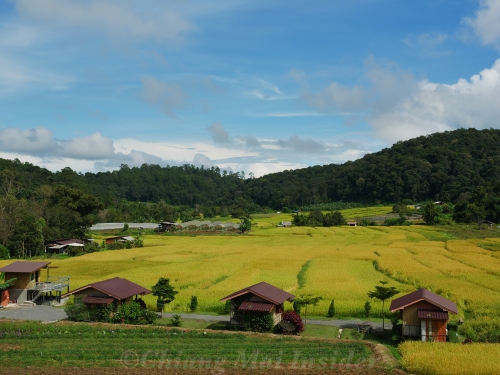 Tagestrip zum Doi Inthanon