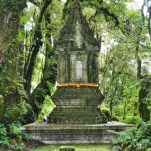 Tagesausflug zum Doi Inthanon