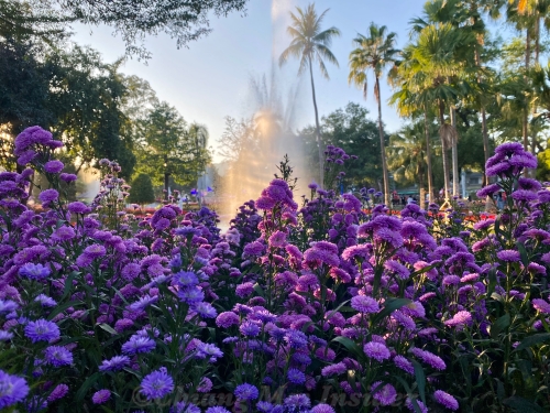 Sehenswürdigkeiten in Chiang Mai