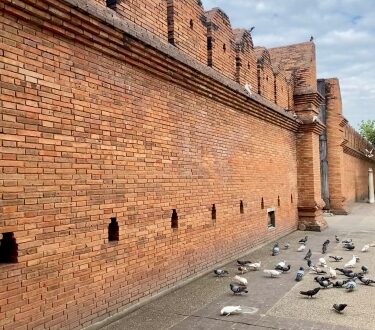 Gesichte von Chiang Mai