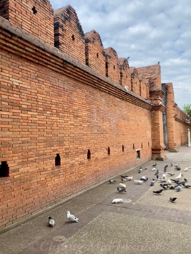 Gesichte von Chiang Mai